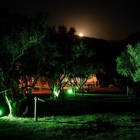 Falasarna Caravans ภายนอก รูปภาพ