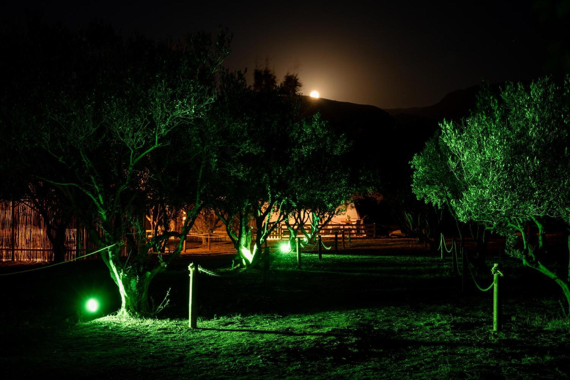 Falasarna Caravans ภายนอก รูปภาพ